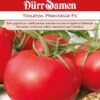 Tomate Stabtomate Phantasia F1 Krautfäuleresistent 1 Tomate Stabtomate Phantasia F1 Krautfäuleresistent -Krauter Samen Geschaft tomate stabtomate phantasia f1 krautfaeuleresistent