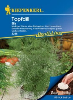 Topfdill Ella (Saatscheibe) -Krauter Samen Geschaft topfdill ella saatscheibe