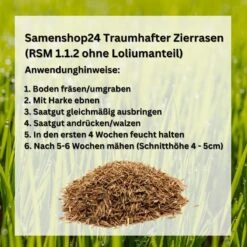 RSM-Rasensamen 1.1.2traumhafter Zierrasen (ohne Lolium) 13 RSM-Rasensamen 1.1.2traumhafter Zierrasen (ohne Lolium) -Krauter Samen Geschaft traumhafter zierrasen rsm1123