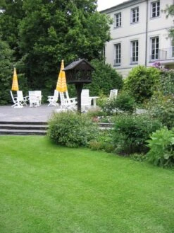 RSM-Rasensamen 1.1.2traumhafter Zierrasen (ohne Lolium) 11 RSM-Rasensamen 1.1.2traumhafter Zierrasen (ohne Lolium) -Krauter Samen Geschaft traumhafter zierrasen rsm1126