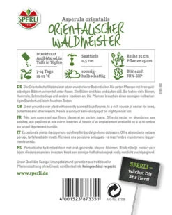 Waldmeister Orientalischer