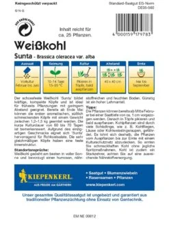 Weißkohl Sunta F1, Schnellwachsender Schossfester Weißkohl Mit Süßlichem Geschmack, Ideal Für Rohkostsalate