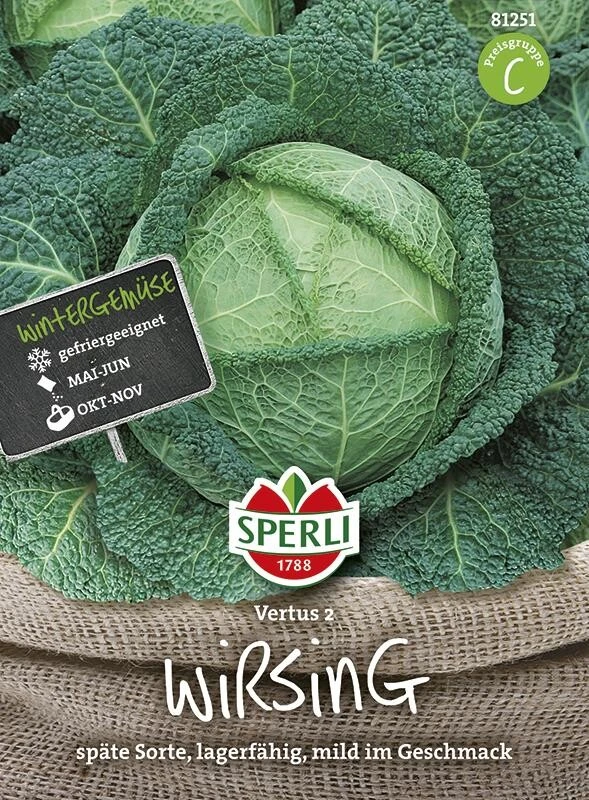 Wirsingkohl Vertus 2 4 Wirsingkohl Vertus 2 – Bild 2