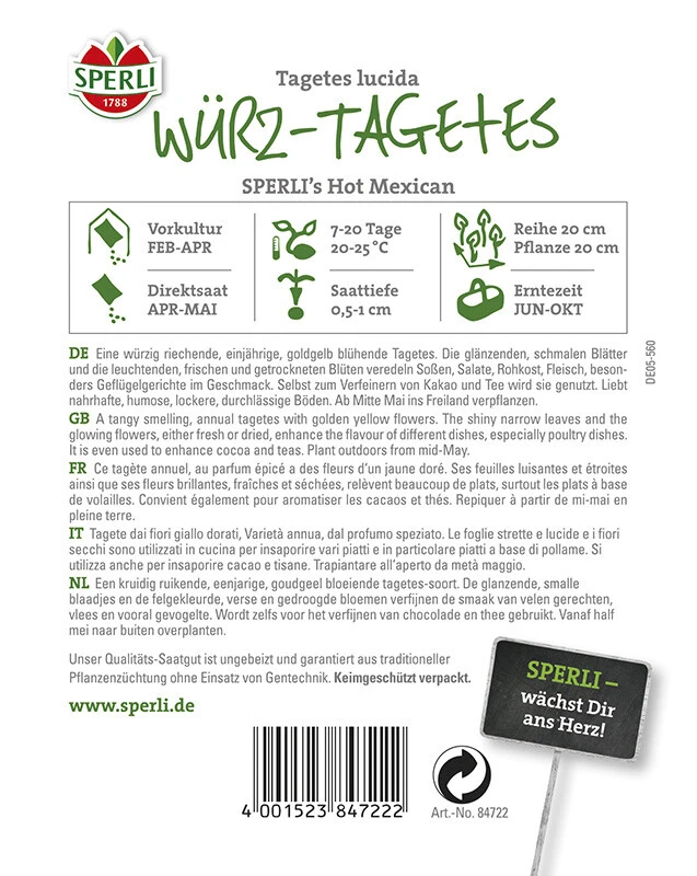 Würz- Tagetes SPERLING´s Hot Mexican 4 Würz- Tagetes SPERLING´s Hot Mexican – Bild 2