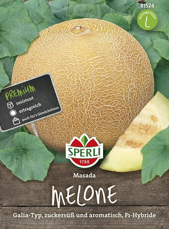 Zuckermelone Masada F1 (Galia-Typ) 4 Zuckermelone Masada F1 (Galia-Typ) – Bild 2